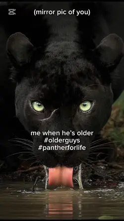panther 4 life 