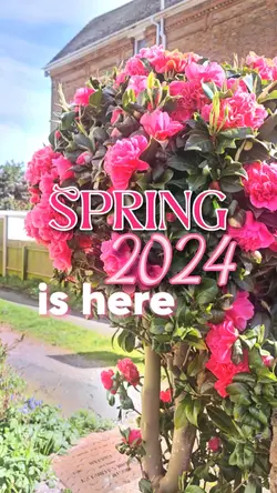 Spring 2024