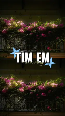 Tìm Em