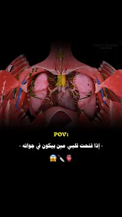 مين في جولات قلبك