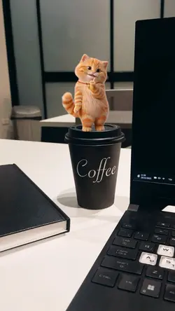 cat dance soundviral