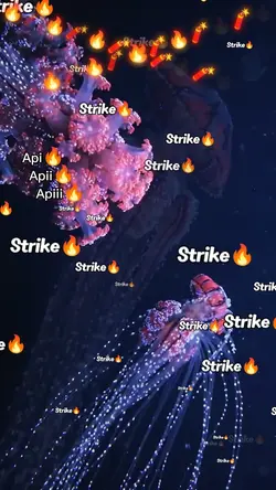 api strike tiktok