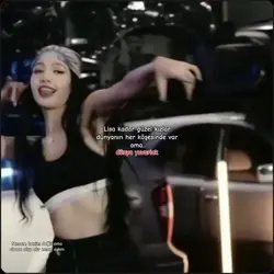 Lisa havalı fancam
