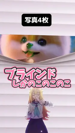 ブラインドでしかのこのこのこ