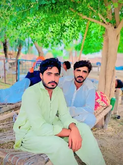 dilshad maitla 