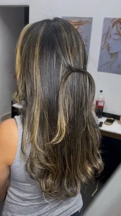 Loiro iluminado