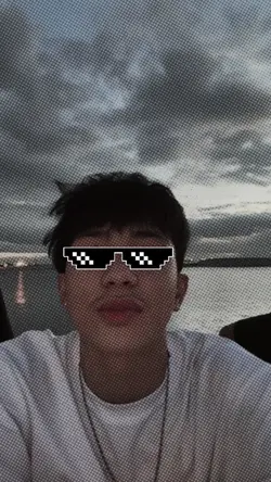 sticker shades