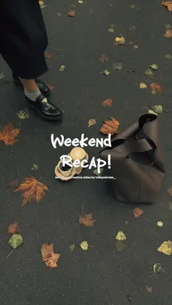 mini vlog 