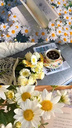 Spring Flowers