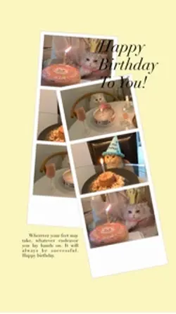 Happy birthday to yo
