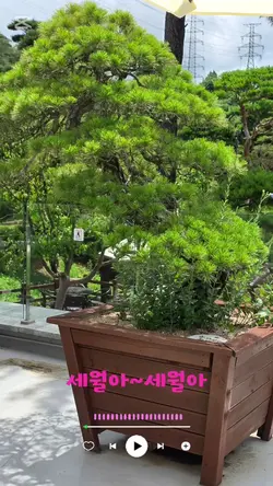 #이력서