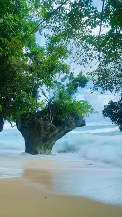 siapa yang salah