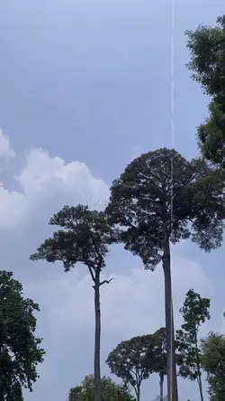 #ชนบท#เสือสองเล