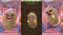 versi collab bertiga
