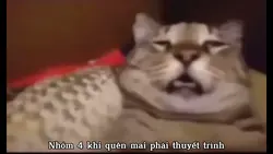 Mẫu Thuyết Trình