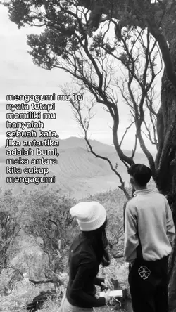 cukup mengagumi