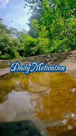 Daily Motivations