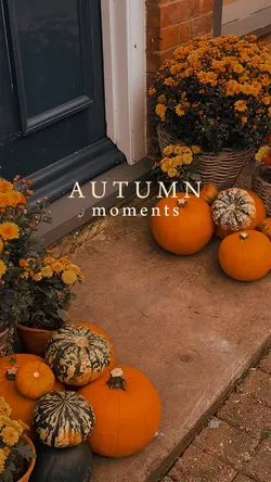 Autumn moments 🍂