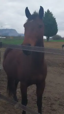 quand t'on me dit qu