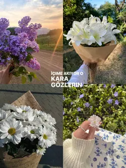 yeni şablon