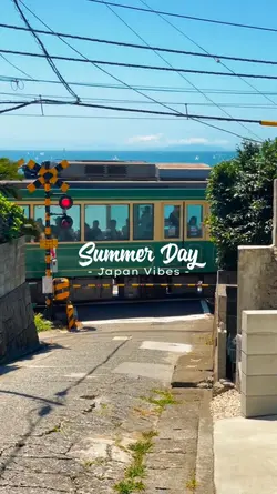 My Summer Diary