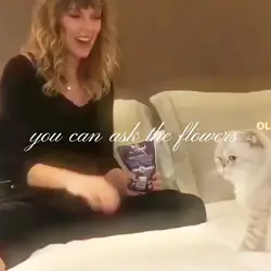 taylor edit <3