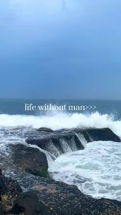 Vlog