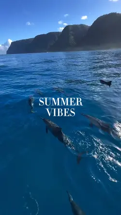 Summer Vibes
