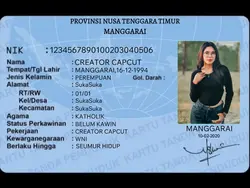 FAKE KTP
