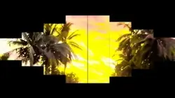 Card point effect