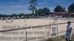 chevaux 
