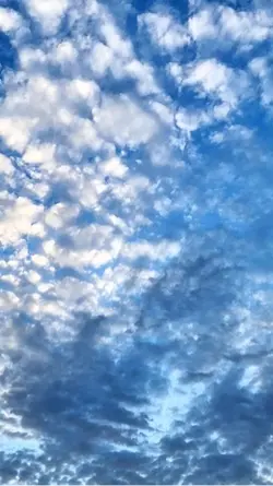 1 VIDEO CLEAR HD🔥