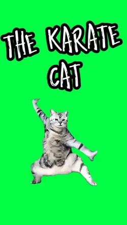 THE KARATE CAT
