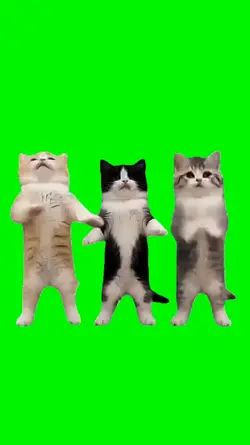 dance trio