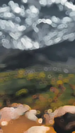 Slowmotion trending 