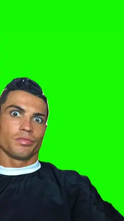 ronaldo minta selfie