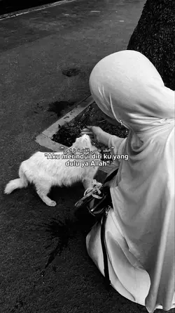 quotes arabic