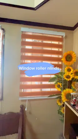 Window Roller blinds