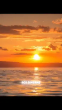 SUNSHINE 