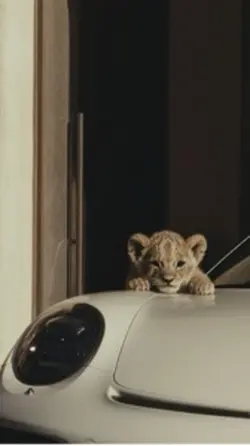 Ungrrcub