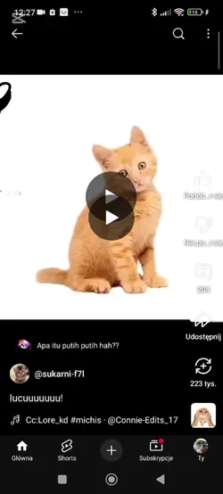 konkurs