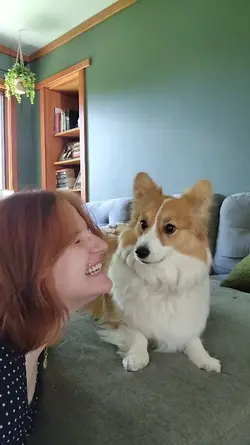 Cute dog