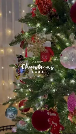 Merry Christmas 