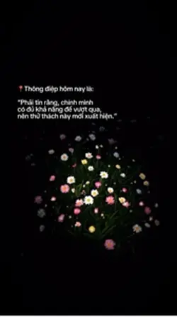 1 ảnh
