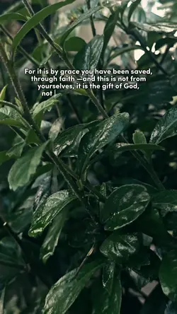 Ephesians 2:8-9