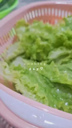 cooking Day 