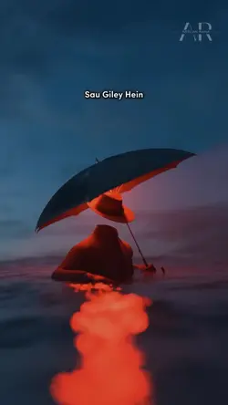 Koi Gila Hi Nahin :)
