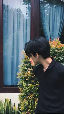 filter aesthetic