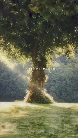 nature vibes