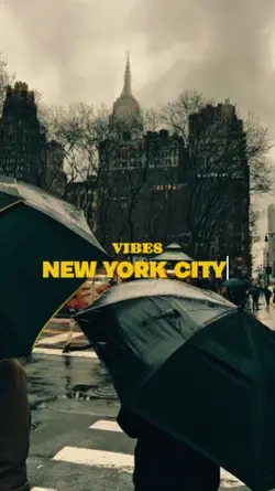 Vebes New york 